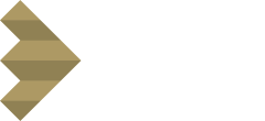 BDDGROUP logo zonder ondertitel wit
